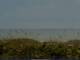 Cape Canaveral, Florida 25.06.2025 10:47