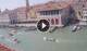 Venezia 14.06.2025 10:05