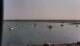 Le Croisic 09.06.2025 10:05