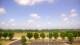 Bentonville, Arkansas 10.07.2025 10:23
