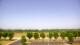 Bentonville, Arkansas 10.07.2025 10:23