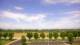 Bentonville, Arkansas 01.07.2025 10:23