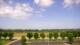 Bentonville, Arkansas 03.07.2025 10:23