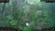 Nakhon Ratchasima (Korat) 03.07.2025 10:47