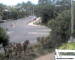 Port Douglas 14.07.2025 10:48
