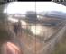 Amburgo 29.04.2025 10:06