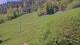 Zell am See 30.04.2025 10:06