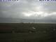 Hallig Hooge 09.07.2025 10:47