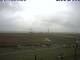 Hallig Hooge 05.07.2025 10:47
