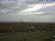 Hallig Hooge 14.06.2025 10:47