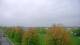 Shorewood, Illinois 29.04.2025 10:27