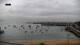 Cascais 17.01.2025 10:48