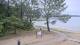 Sanguinet 15.06.2025 10:06