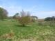 Dartmoor 30.04.2025 10:47