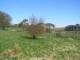 Dartmoor 29.04.2025 10:47
