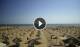Rimini 14.07.2025 10:18