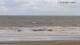 Blankenberge 04.05.2025 10:09