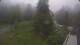 Cauterets 15.06.2025 10:08