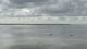 Le Pouliguen 15.06.2025 10:08