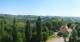 Glanz an der Weinstraße 01.07.2025 10:09