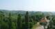 Glanz an der Weinstraße 09.06.2025 10:10