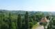 Glanz an der Weinstraße 14.06.2025 10:10