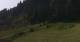 Going am Wilden Kaiser 08.06.2025 10:10