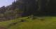 Going am Wilden Kaiser 11.05.2025 10:10