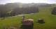 Rohrberg 08.06.2025 10:10
