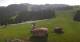Rohrberg 09.06.2025 10:10