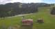 Rohrberg 19.05.2025 10:10