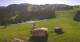 Rohrberg 15.06.2025 10:10