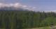 Kranzbach 08.06.2025 10:10