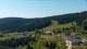 Zieleniec 30.04.2025 10:10