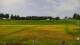 Zieleniec 09.06.2025 10:10