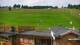 Zieleniec 03.07.2025 10:10