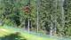 Karpacz 15.06.2025 10:10