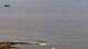 Ericeira 08.05.2025 10:54