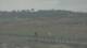 Alvor (Algarve) 09.06.2025 10:28