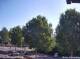 Julianadorp 10.05.2025 10:11