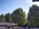 Julianadorp 29.04.2025 10:11