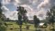 Davidsonville, Maryland 09.07.2025 10:32