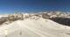 Chamois 30.04.2025 10:12