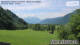Maishofen 05.07.2025 10:56