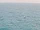 AIDAbella 12.05.2025 10:12