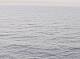 AIDAbella 08.07.2025 10:11