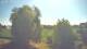 Mandelsloh 11.05.2025 10:12