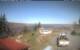 Walton 30.04.2025 10:08