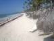 Punta Cana 14.05.2025 10:13