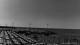Andora 02.07.2025 10:13